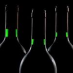 survivors alcohol
