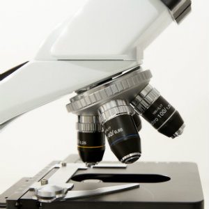 microscope used in rape kit testing