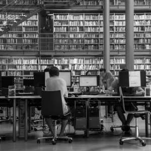 students studying in a university library